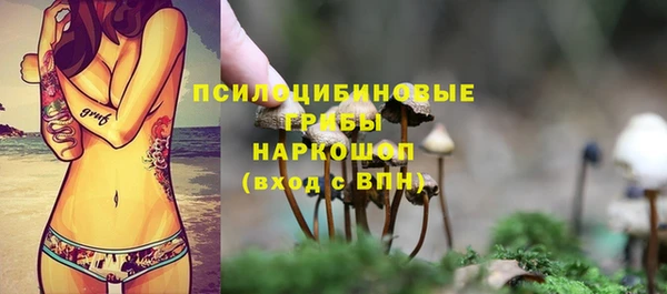 mdma Дмитриев