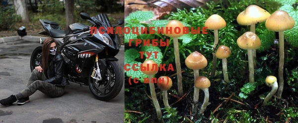 первитин Дмитров
